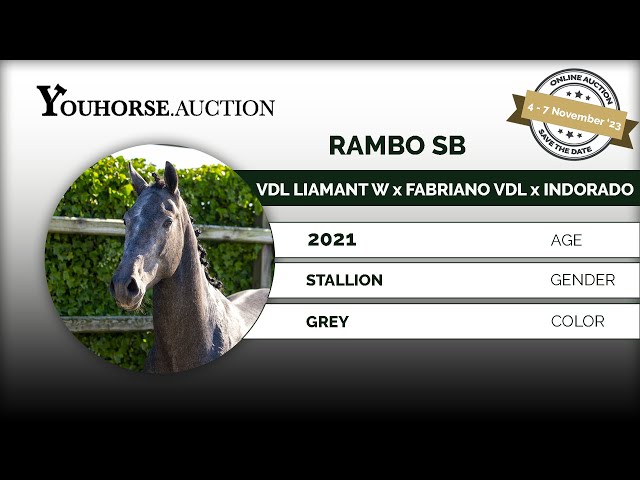 Rambo SB
