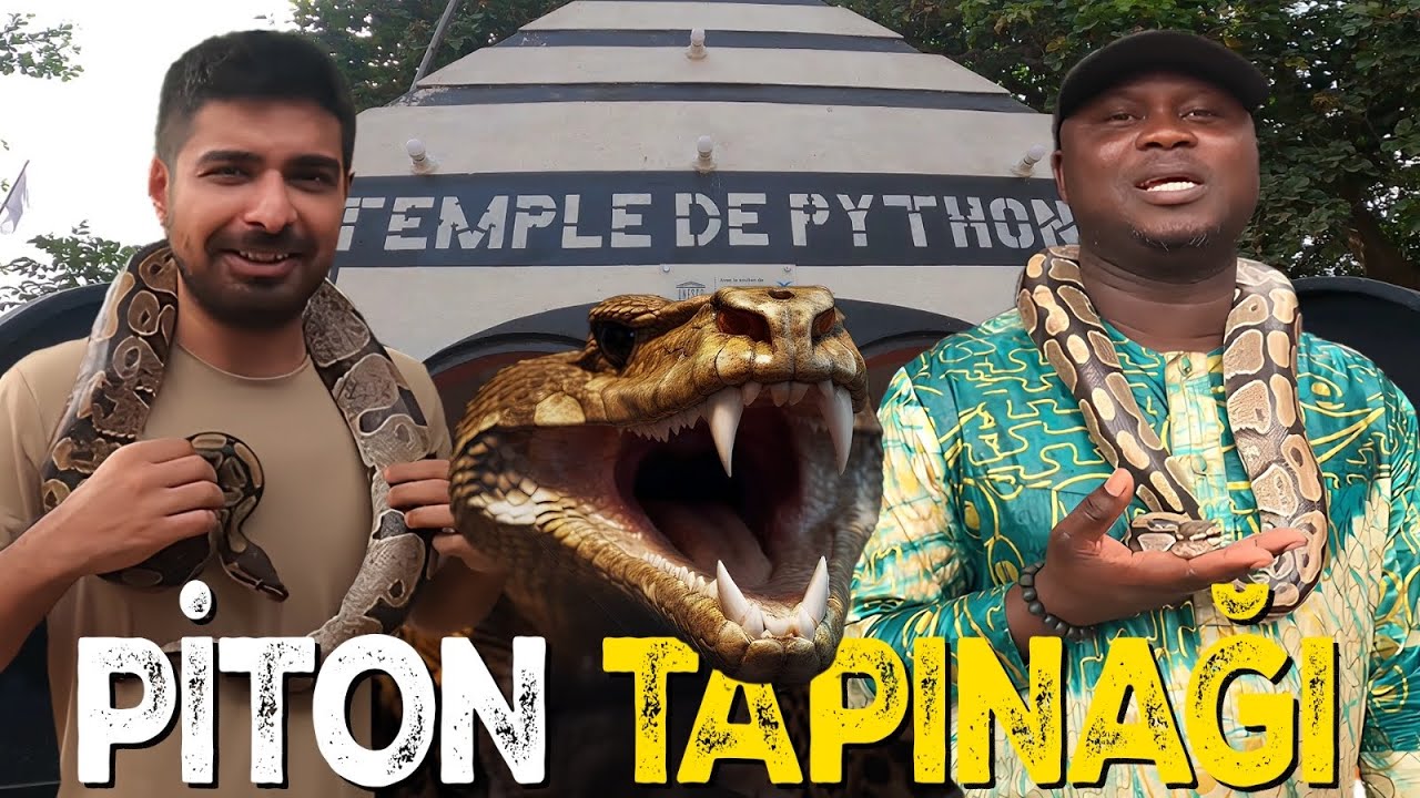 Batı Afrika''nın Kalbinde Pitonlarla Dolu Tapınak!