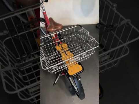 Public Bikes Metal Removeable Basket Review
