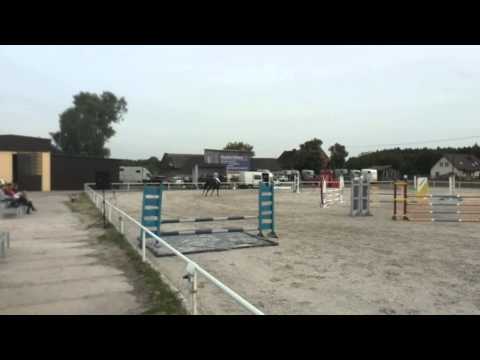 5 y mare by Balou Du Rouet/ Caletto's Son   110cm