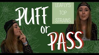 Puff or Pass on Leafly's Top Strains * Stoned Marlee *