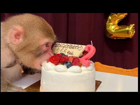 Old Games and Sour Boys