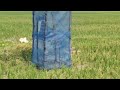 Gaon Mein Khet Mein Pani Chalate Hue Kisan Status ️ ️ ️ ️ ️ ️ ️ ️ ️ ️