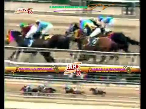 LA RINCONADA 3 CARRERA, DOMINGO 01 DE MARZO DEL 2015