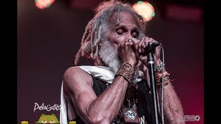 Cedric &quot;Congo&quot; Myton - Solid Foundation - 15/19 - PelaGatos