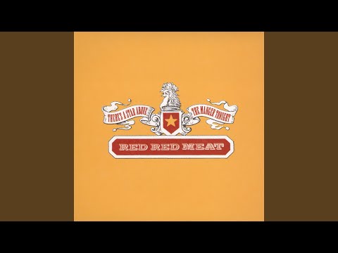 There's A Star Above The Manger Tonight