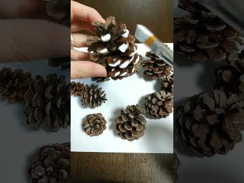 DIY アイデア: 天然素材で作るクリスマス装飾 トピックス