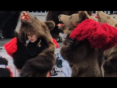 CEATA DE URȘI SEACA DOFTEANA/BACĂU..@BotLucian1978 #traditional#newyear#dance#top#animals#foryou