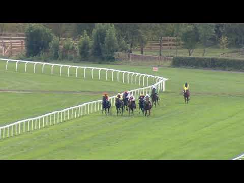 2. dostih - Cena portálu Fitmin & Turf Magazín - dostihy Velká Chuchle 6. 10. 2019