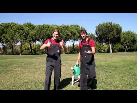 GRISON Y TULI - LOOP