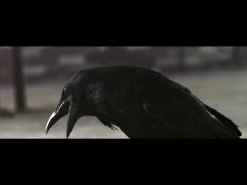 DJ Grig ft Line - My Papi ( DEEP HOUSE 2017 ... album 361° )