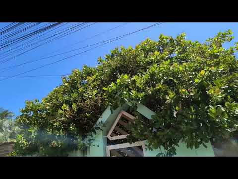 Dia de Praia em Geribatuba 🌊 Vera Cruz – Bahia