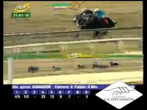 LA RINCONADA 9 CARRERA, DOMINGO 31 DE ENERO DEL 2016