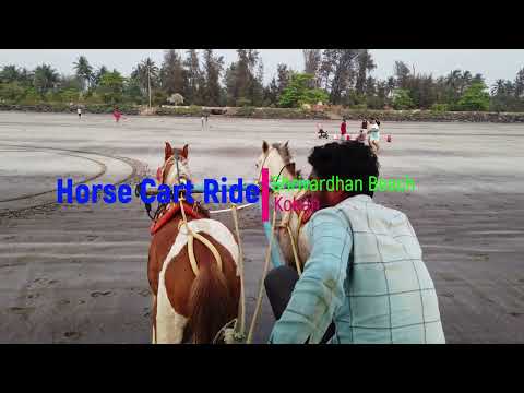 Scenic Horse Cart Ride on Shrivardhan Beach | श्रीवर्धन बीच