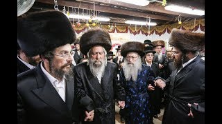 שמחת בית השואבה אצל האדמור מנדבורנה