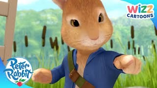 Peter Rabbit | Chased by the Fox! | Action-Packed Adventures | Wizz Cartoons