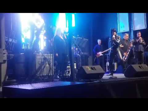 Promotional video thumbnail 3 for Alessandro Elvis Tribute Show
