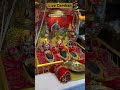 Live Darshan Vaishno Devi Pindi Darshan Mata Vaishno Devi Darshan Shorts Vaishnodevi