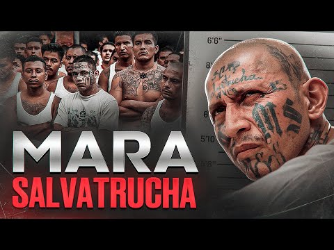 EL SALVADOR'S MAIN CRIMINAL SYNDICATE - Mara Salvatrucha aka MS 13