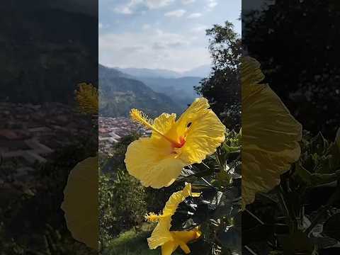 Jardin-Antioquia #viajes #viral #viral