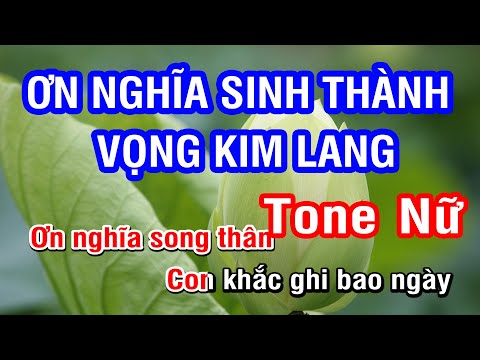 Karaoke Vọng Kim Lang | Karaoke Ơn Nghĩa Sinh Thành - Tone Nữ | Nhan KTV