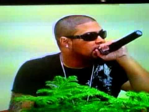 Willistic el servidor- en el show hogar&vida