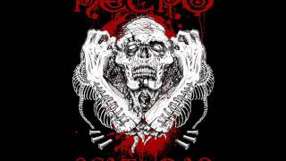 Necro - All hotties eat the jizz ( Polskie napisy)