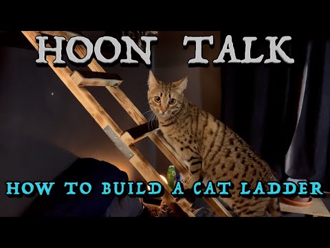 Hoon Talk: How to build a ladder for your cat