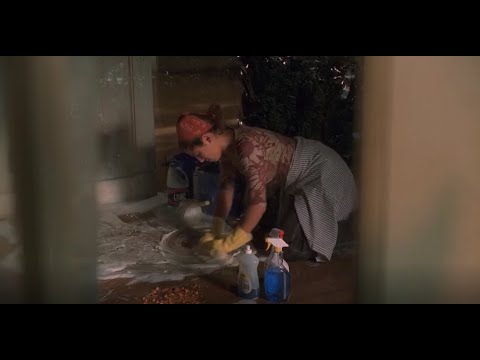 Tony finds Meadow cleaning | The Sopranos