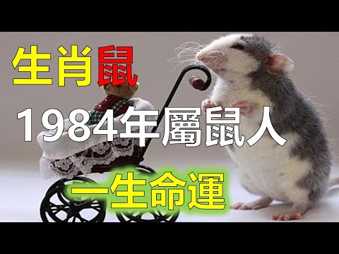 1984年農曆生肖