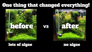I GOT RID OF ALGAE AFTER I DID THIS ONE THING! 😱