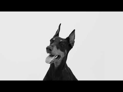Capo Plaza - La Ca$$a feat. Artie 5ive (Official Visual Art Video)