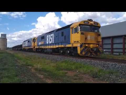 8151 & 8105 at Tichborne NSW.  Tue 25th Feb 2020