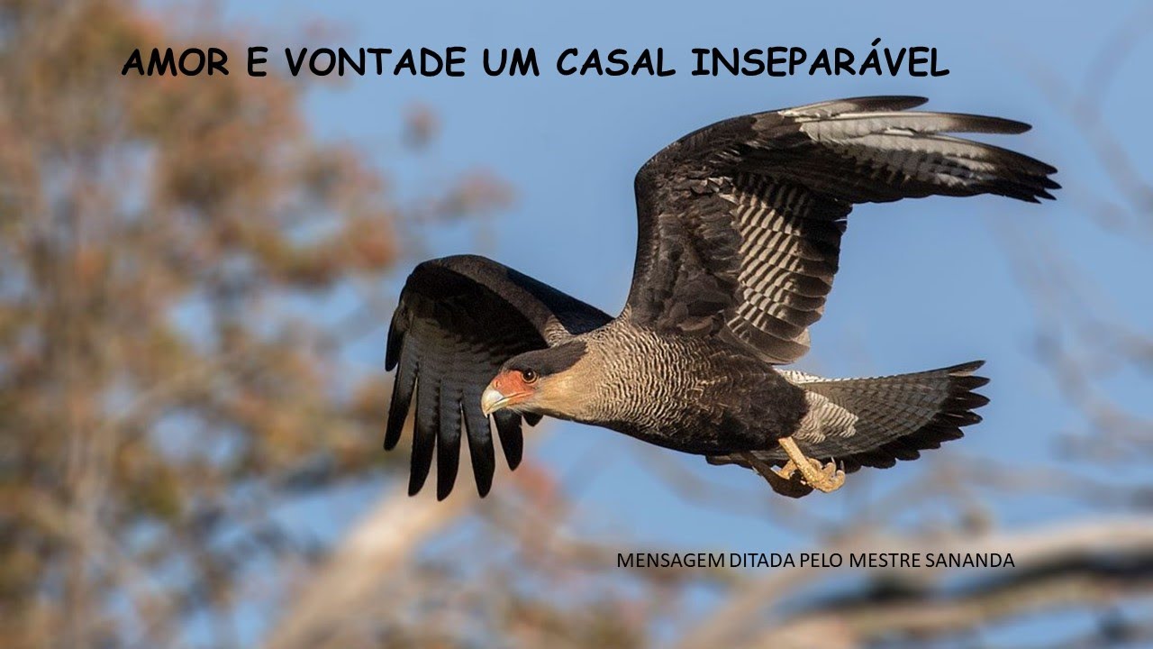 AMOR E VONTADE UM CASAL INSEPARÁVEL - DITADO POR SANANDA