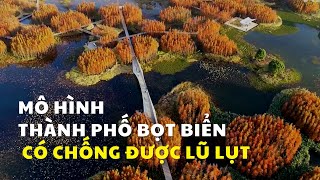Trung Quốc đang thiết kế các thành phố chống lũ lụt như thế nào ?