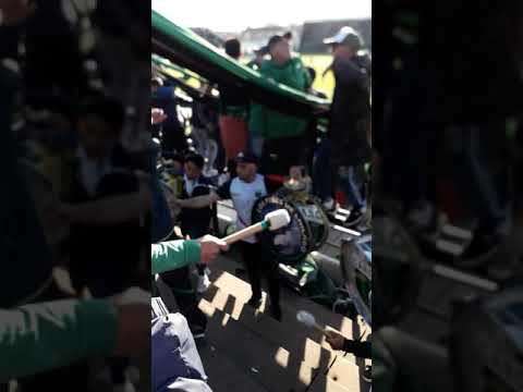 Nueva chicago vs platense 2019