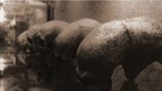 The Missing Alien Bodies Of Malta | A Cover Up?