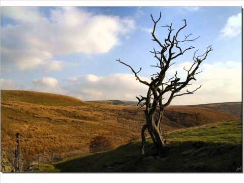 78 Al Naba' (complete)+(Urdu translation)