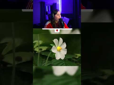 How Things ACTUALLY WORK! 🫢#shorts