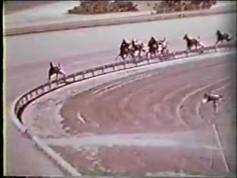 Hambletonian 1968 -Nevele Pride