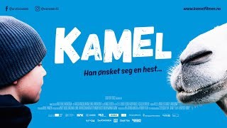 Kamel ✔️Norsk familiefilm om verdens nordligste kameler | Film Trailer