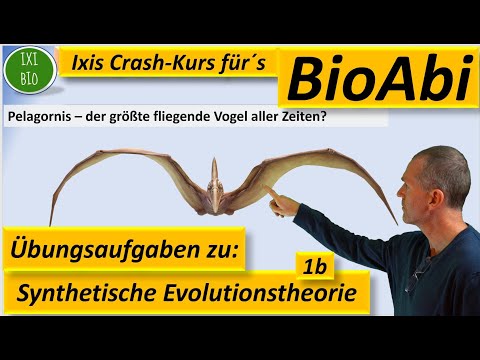 Synthetic Theory of Evolution 1b - Application problems for preparation for the Abitur Part B