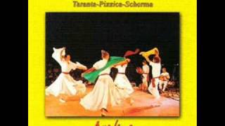 Arakne Mediterranea Pizzicataranta