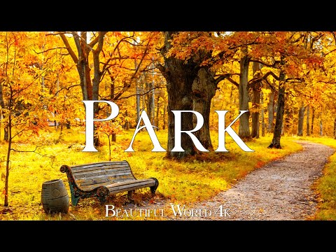 Park 4K – A Serene World Painted in Gold and Crimson Autumn Hues – Piano Music