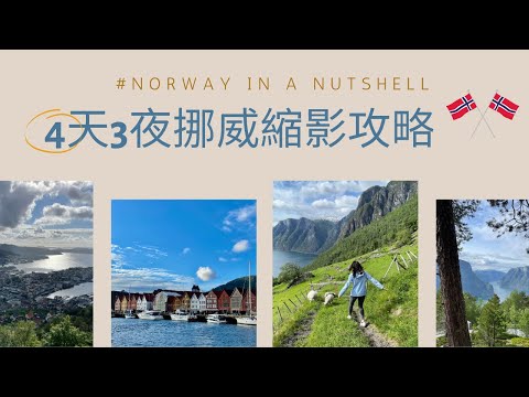 4天3夜挪威縮影攻略🇳🇴Norway in a Nutshell 壯闊松恩峽灣 🛳 歐洲童話城市卑爾根 🚠絕美峽灣小鎮弗萊姆 🚣‍♂️ 世界最美鐵道之旅🚞