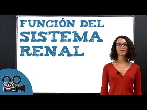 Se può alzare a lyambliya bilirubin Persona di parassiti di e i