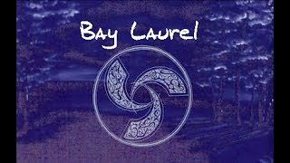 Bay Laurel - &quot;Under A Clouded Sky&quot; medley (goth, postpunk, metal, darkwave)