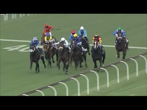 HAWWAAM THE DESTROYER IS SUBLIME IN THE COLTS CLASSIC