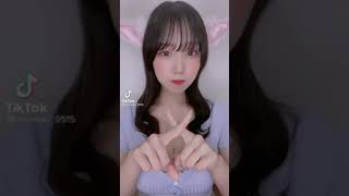 【TikTok】癒しのましゅまろぱい