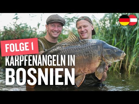Karpfenangeln in Bosnien! Futtertaktik für XXL-Karpfen | Lake Pelagićevo | Fischen am Baggersee